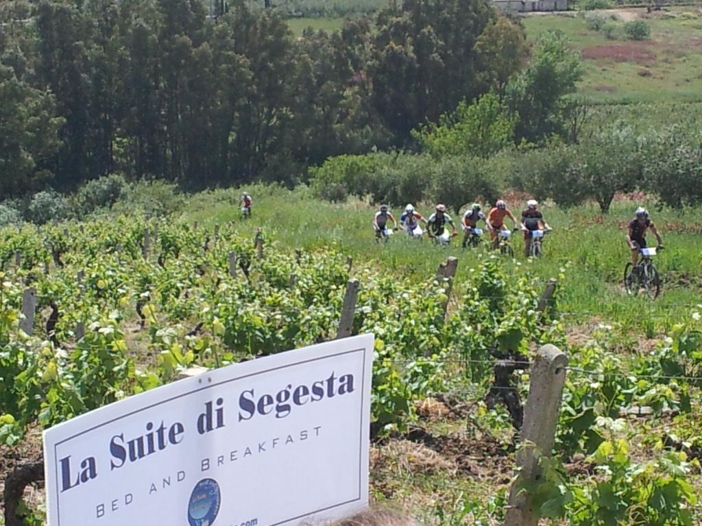 La Suite Di Segesta 칼라타피미 외부 사진